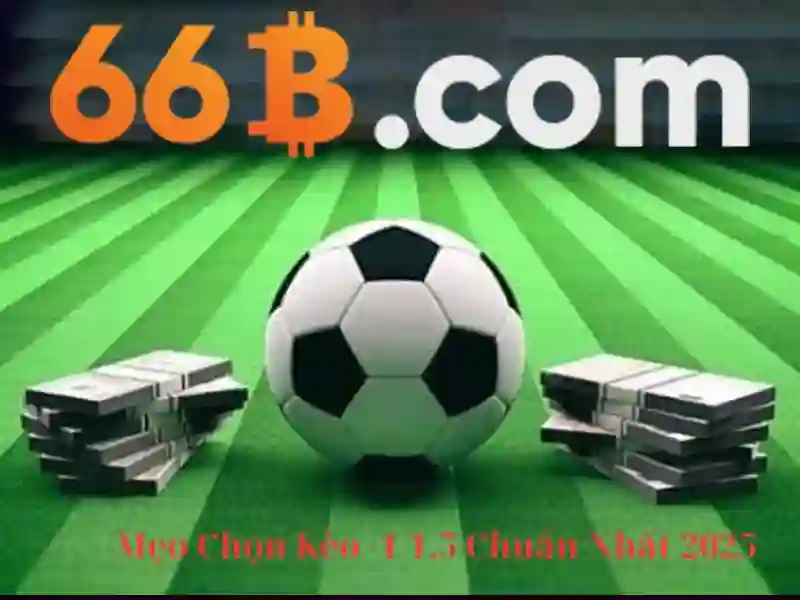 it act 66b - Hành trình số hóa và giá trị đột phá
