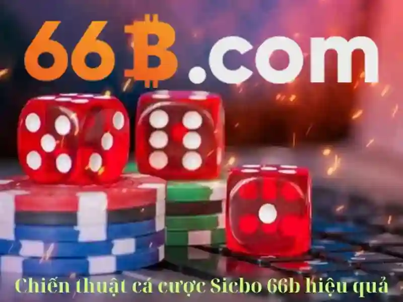66B: Khái niệm và ứng dụng trong công nghệ số