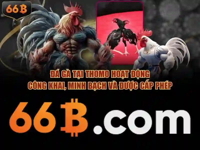 Kiến trúc và tham số