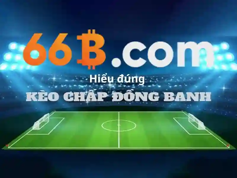 66b là gì và cách hiểu cơ bản