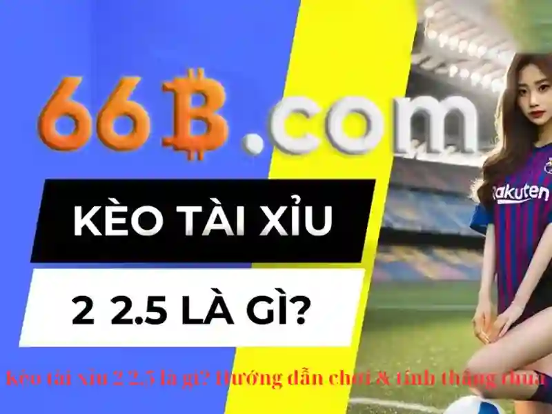 loods 66b – Khám phá sức mạnh thương hiệu và công nghệ
