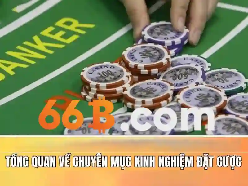66b nguyễn sỹ sách, p15, quận tân bình - Khảo sát và trải nghiệm