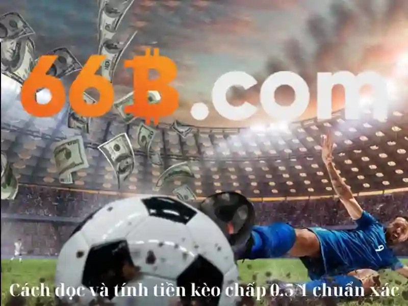 giao dịch 66b: hành trình giá trị và cộng đồng