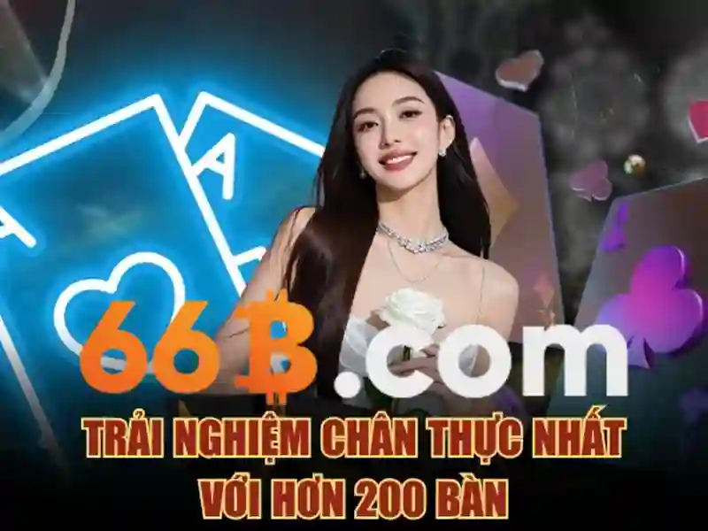 Tổng quan về quyền và nghĩa vụ của người chơi tại nhà cái 66b uy tín