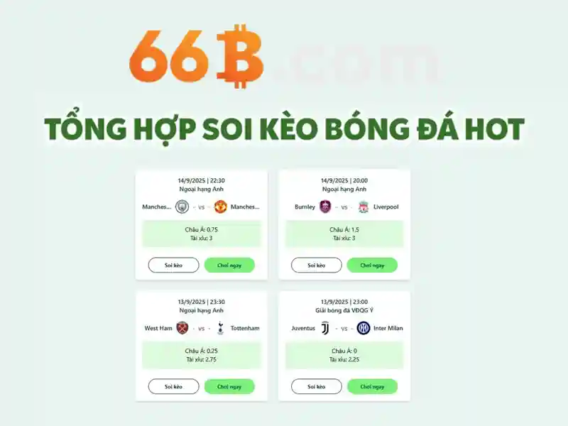 66b: Một ký hiệu và ý nghĩa của nó