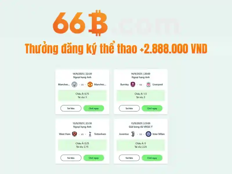 trường con 66b nguyễn sĩ sách – hành trình giáo dục và cộng đồng