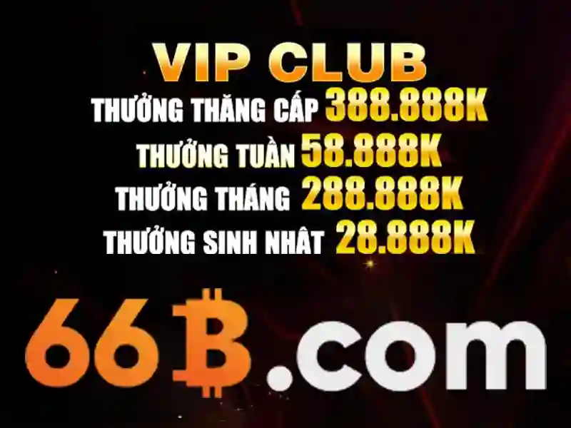 66b nss – Định hình thương hiệu và hành trình đổi mới