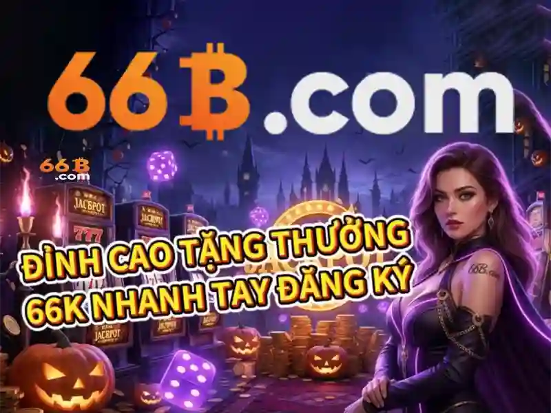 66b nguyễn sỹ sách phường 15 tân bình – tổng quan chủ đề và giá trị cốt lõi